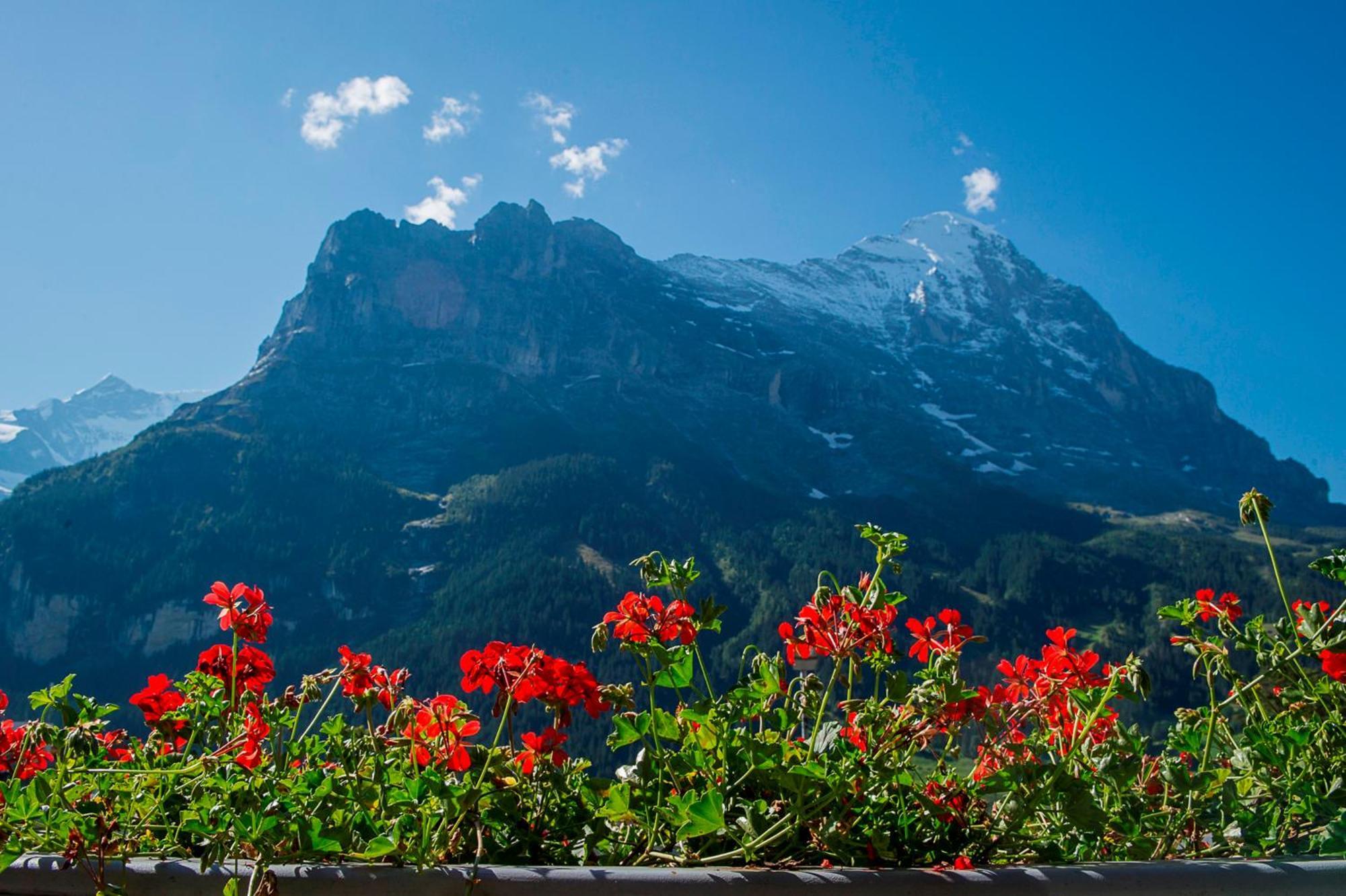 Hotel Bernerhof Grindelwald Exterior photo